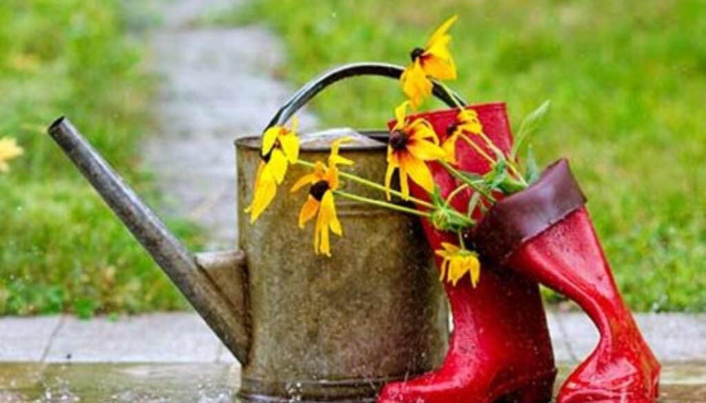 Wellies in the rain - the opposite to Dry January