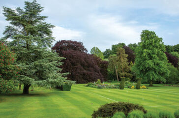 Marlborough College - Trees in the Master's Garden