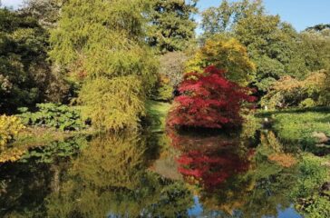 Visit The Minterne Himalayan Gardens for the autumnal scenery