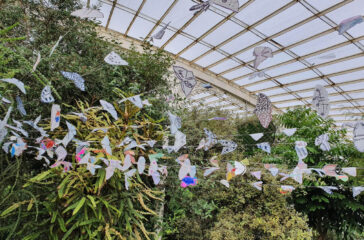 Moths to Flame art installation Glasgow Botanic Gardens Art and Energy (1)