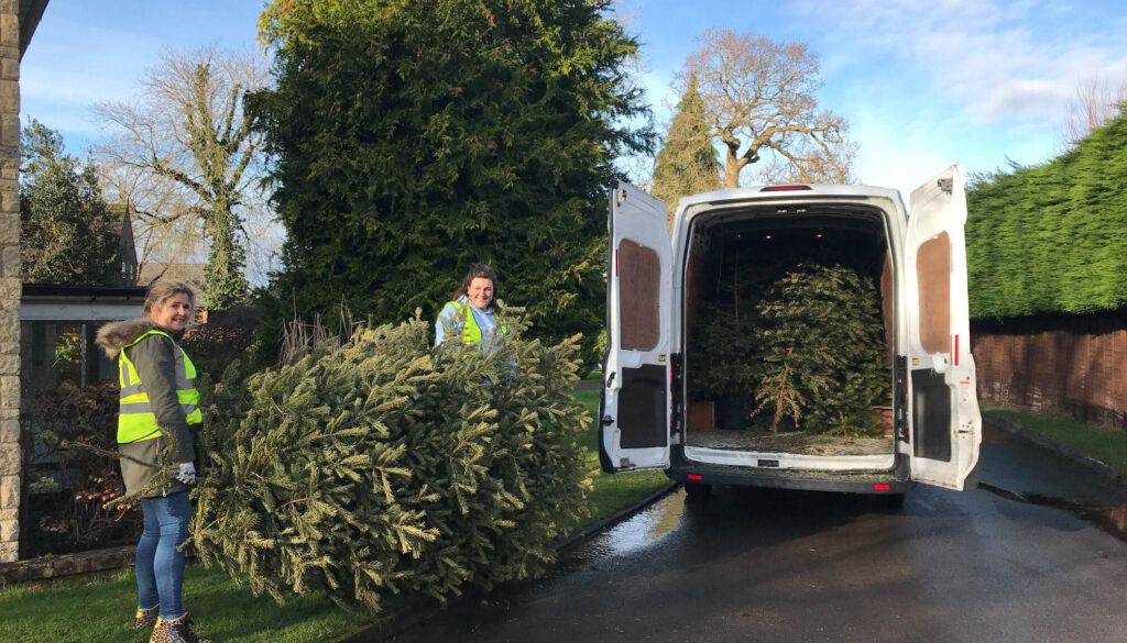 Volunteers will be collecting Christmas trees from people's homes