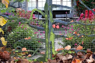 14568_Garden_2024.jpg