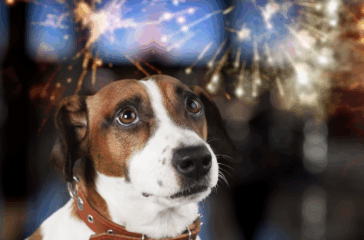 Screenshot 2025-10-23 at 15.20.53 Screenshot 2025-10-23 at 15.20.53